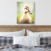 Baby Mallard Ducking Canvas Afdruk (Insitu (Slaapkamer))