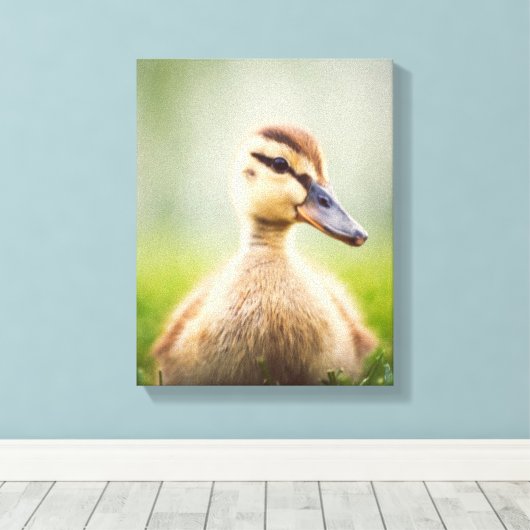 Baby Mallard Ducking Canvas Afdruk (Insitu (Houten vloer))