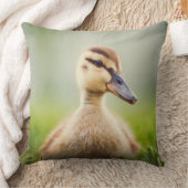 Baby Mallard Ducking Kussen (Deken)