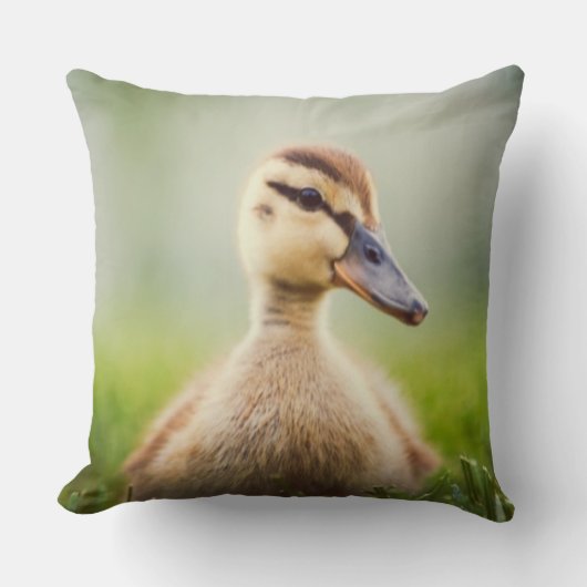 Baby Mallard Ducking Kussen (Voorkant)