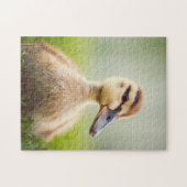 Baby Mallard Ducking Legpuzzel (Horizontaal)