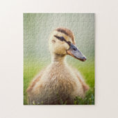 Baby Mallard Ducking Legpuzzel (Verticaal)