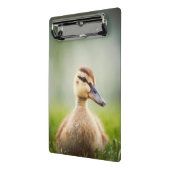 Baby Mallard Ducking Mini Klembord (Angled2)