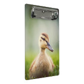 Baby Mallard Ducking Mini Klembord (Schuin)