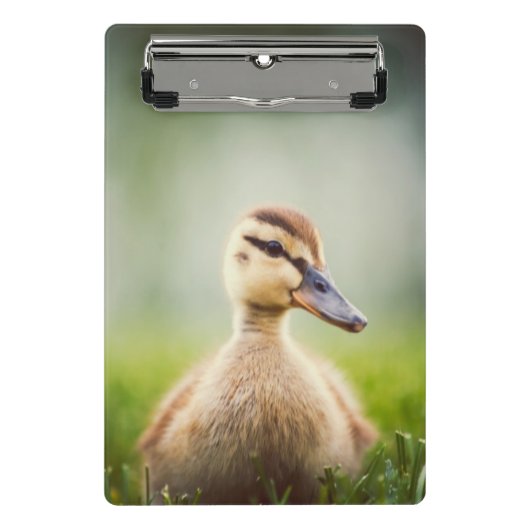 Baby Mallard Ducking Mini Klembord (Voorkant)