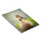 Baby Mallard Ducking Notitieboek (Rechterzijde)