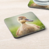 Baby Mallard Ducking Onderzetter (Linkerzijde)