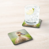 Baby Mallard Ducking Onderzetter (Rechterzijde)