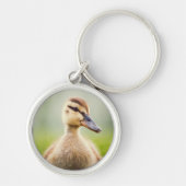 Baby Mallard Ducking Sleutelhanger (Voorkant)