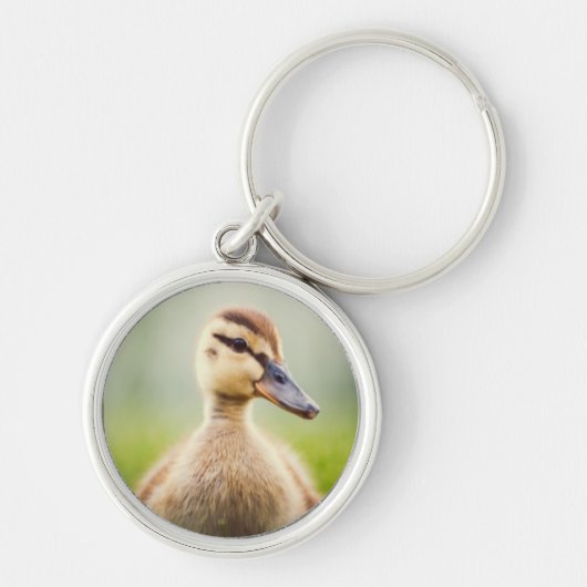 Baby Mallard Ducking Sleutelhanger (Voorkant)