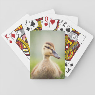 Baby Mallard Ducking Speelkaarten