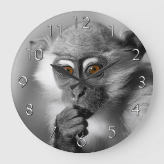 Baby Mangabey-aap Grote Klok