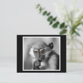 Baby Mangabey Monkey Briefkaart (Staand voorkant)