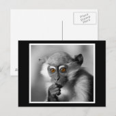 Baby Mangabey Monkey Briefkaart (Voorkant / Achterkant)