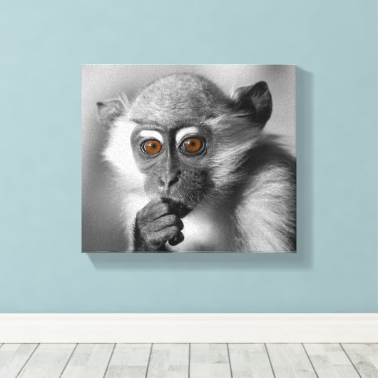 Baby Mangabey Monkey Canvas Afdruk (Insitu (Houten vloer))