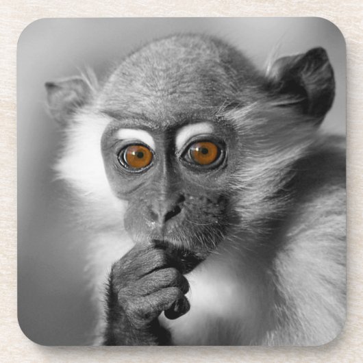 Baby Mangabey Monkey Drankjes Onderzetter (Voorkant)