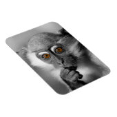 Baby Mangabey Monkey Magneet (Rechterzijde)