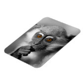 Baby Mangabey Monkey Magneet (Linkerzijde)