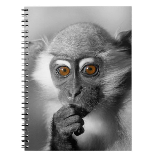 Baby Mangabey Monkey Notitieboek (Voorkant)