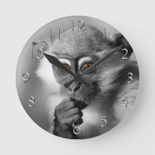 Baby Mangabey Monkey Ronde Klok