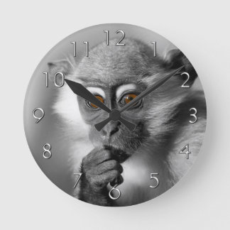 Baby Mangabey Monkey Ronde Klok