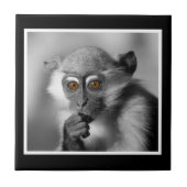 Baby Mangabey Monkey Tegeltje (Voorkant)