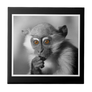 Baby Mangabey Monkey Tegeltje
