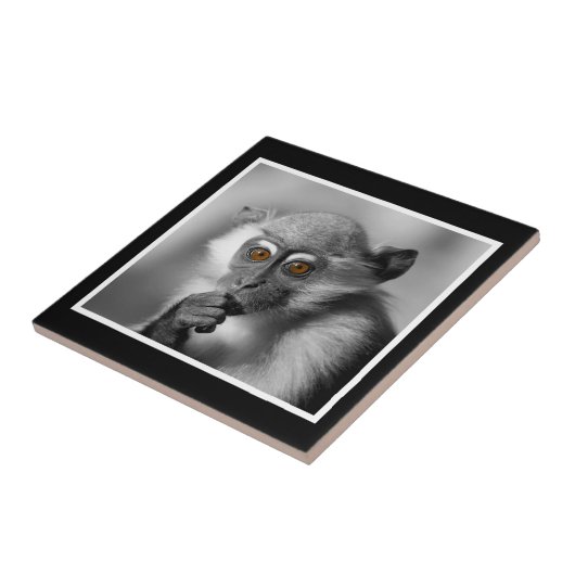 Baby Mangabey Monkey Tegeltje (Zijkant)