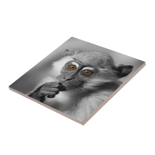 Baby Mangabey Monkey Tegeltje (Zijkant)