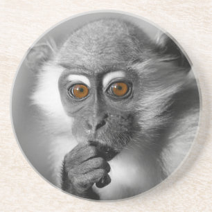 Baby Mangabey Monkey Zandsteen Onderzetter