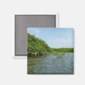 Baby Mangrove bomen in het Caribisch gebied Magneet (Voorkant / Achterkant)