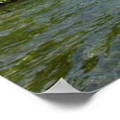 Baby Mangrove bomen in het Caribisch gebied Poster (Hoek)