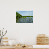 Baby Mangrove bomen in het Caribisch gebied Poster (Keuken)