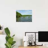 Baby Mangrove bomen in het Caribisch gebied Poster (Thuiskantoor)