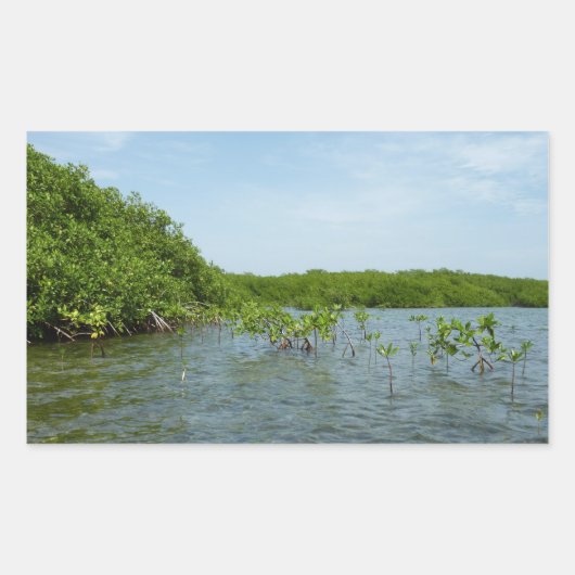 Baby Mangrove bomen in het Caribisch gebied Rechthoekige Sticker (Voorkant)