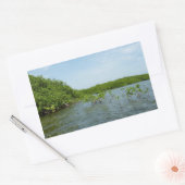 Baby Mangrove bomen in het Caribisch gebied Rechthoekige Sticker (Envelop)
