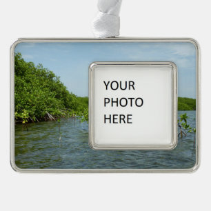 Baby Mangrove bomen in het Caribisch gebied Verzilverd Omlijst Ornament