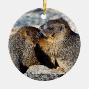 baby marmot keramisch ornament