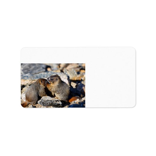 Baby Marmots Etiket (Voorkant)
