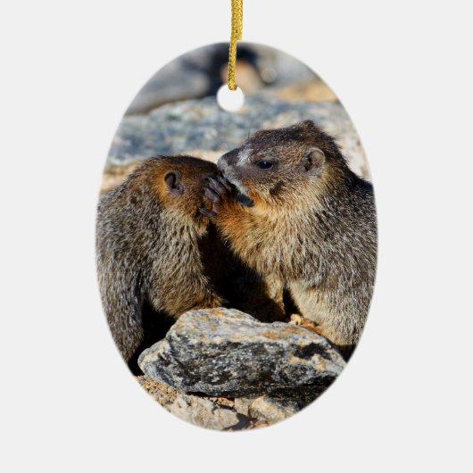 Baby Marmots Keramisch Ornament (Voorkant)