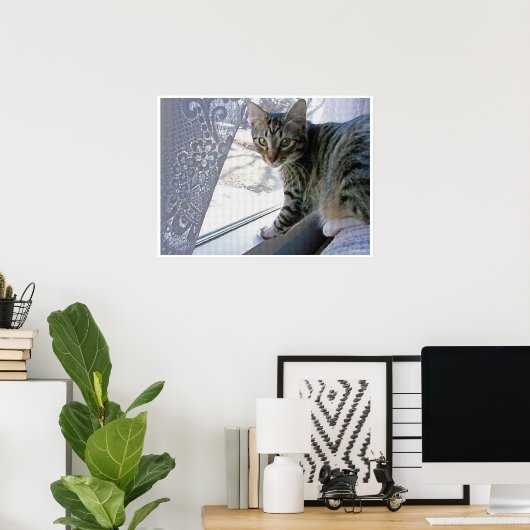 Baby Max Poster (Thuiskantoor)