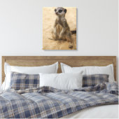 Baby Meerkat in de zand Canvas Afdruk (Insitu (Slaapkamer))