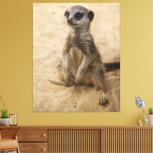 Baby Meerkat in de zand Canvas Afdruk (Insitu (Woonkamer))