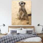 Baby Meerkat in de zand Canvas Afdruk (Insitu (Slaapkamer))