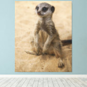 Baby Meerkat in de zand Canvas Afdruk (Insitu (Houten vloer))