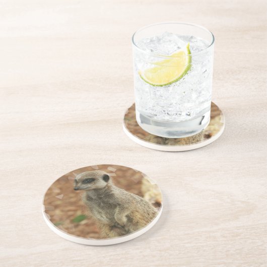 Baby Meerkat Onderzetters (Zijkant)