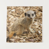 Baby Meerkat Poster Wandkleed (Voorkant)