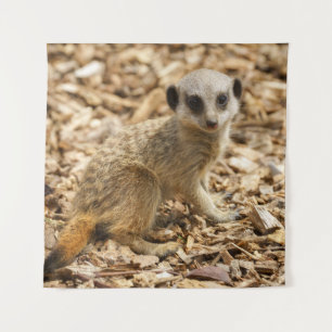 Baby Meerkat Poster Wandkleed