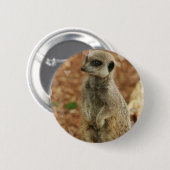 Baby Meerkat Round Button (Voorkant /achterkant)