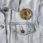 Baby Meerkat Round Button (In situ)